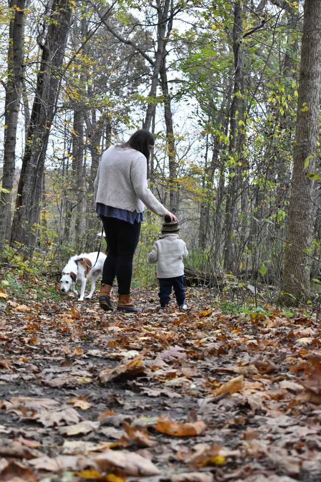 Cute toddler boy on a hike with his mother and their loyal pet dog 