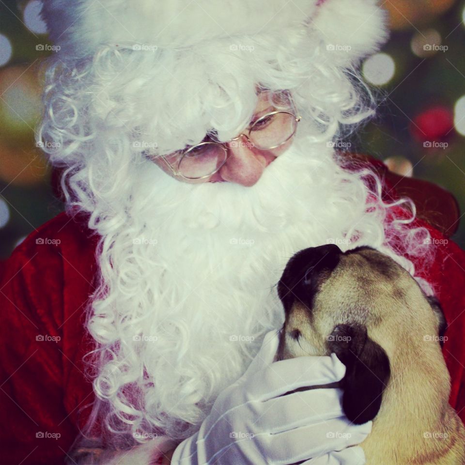 Dogs Have Wishes Too!. My middle daughter is terrified of Santa, so my husband bought a Santa suit so I could take pictures. Well our dog was very curious so she sat on Santa's lap and told him her wish list too!