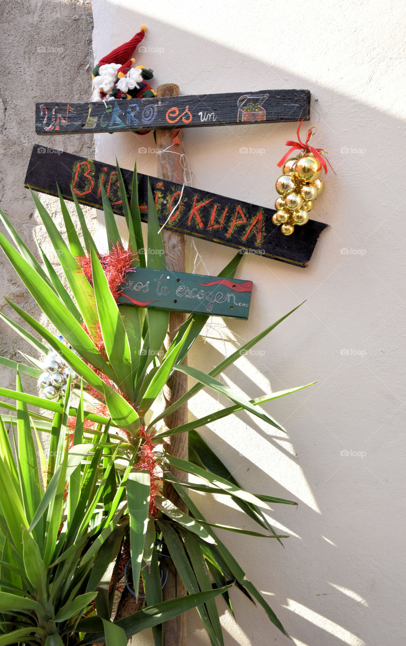 christmas tree squat