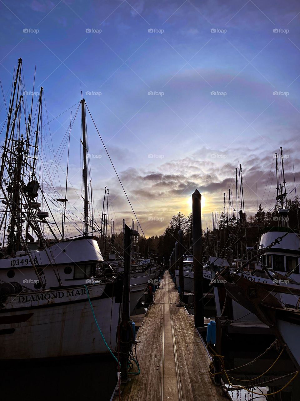 Dock halo