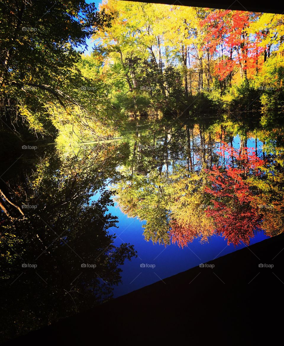 From under a bridge