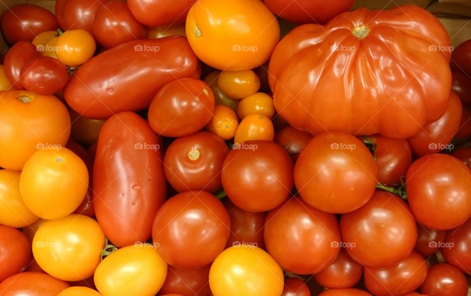 tomatoes 