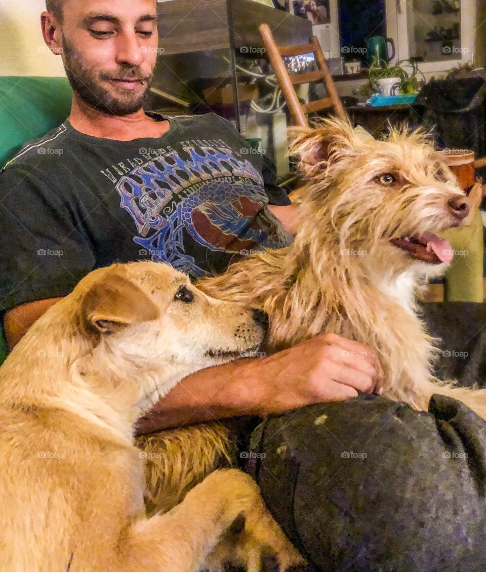 A man sits on the sofa with 2 pets dogs, they all look content