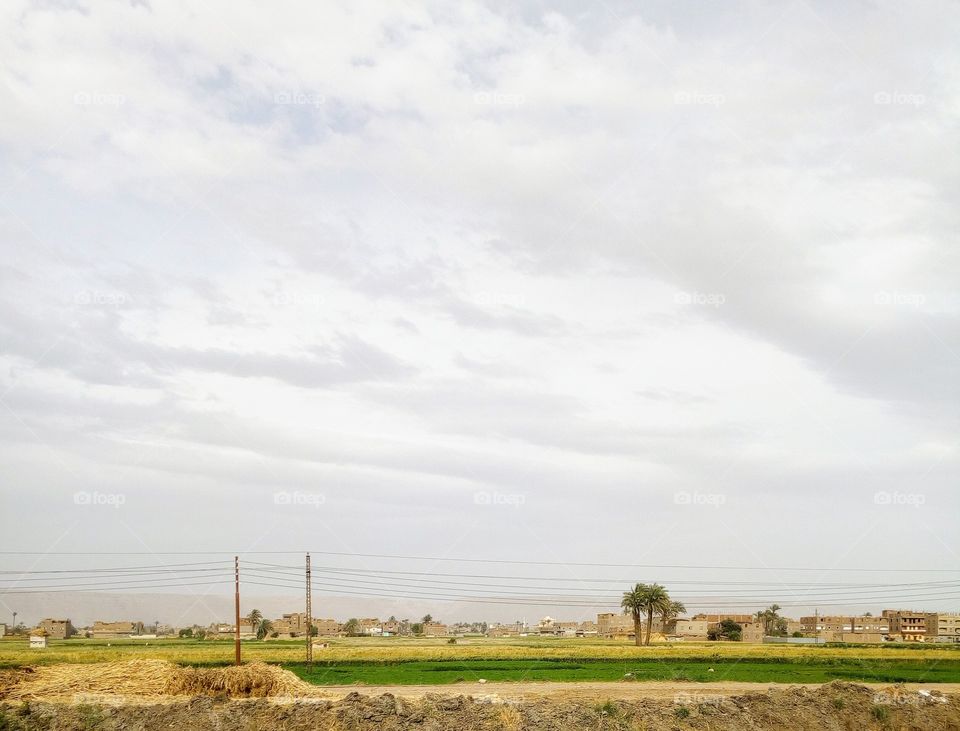 The Egyptian countryside Upper Egypt is a creative place full of trees, farmland, trees and palm trees
