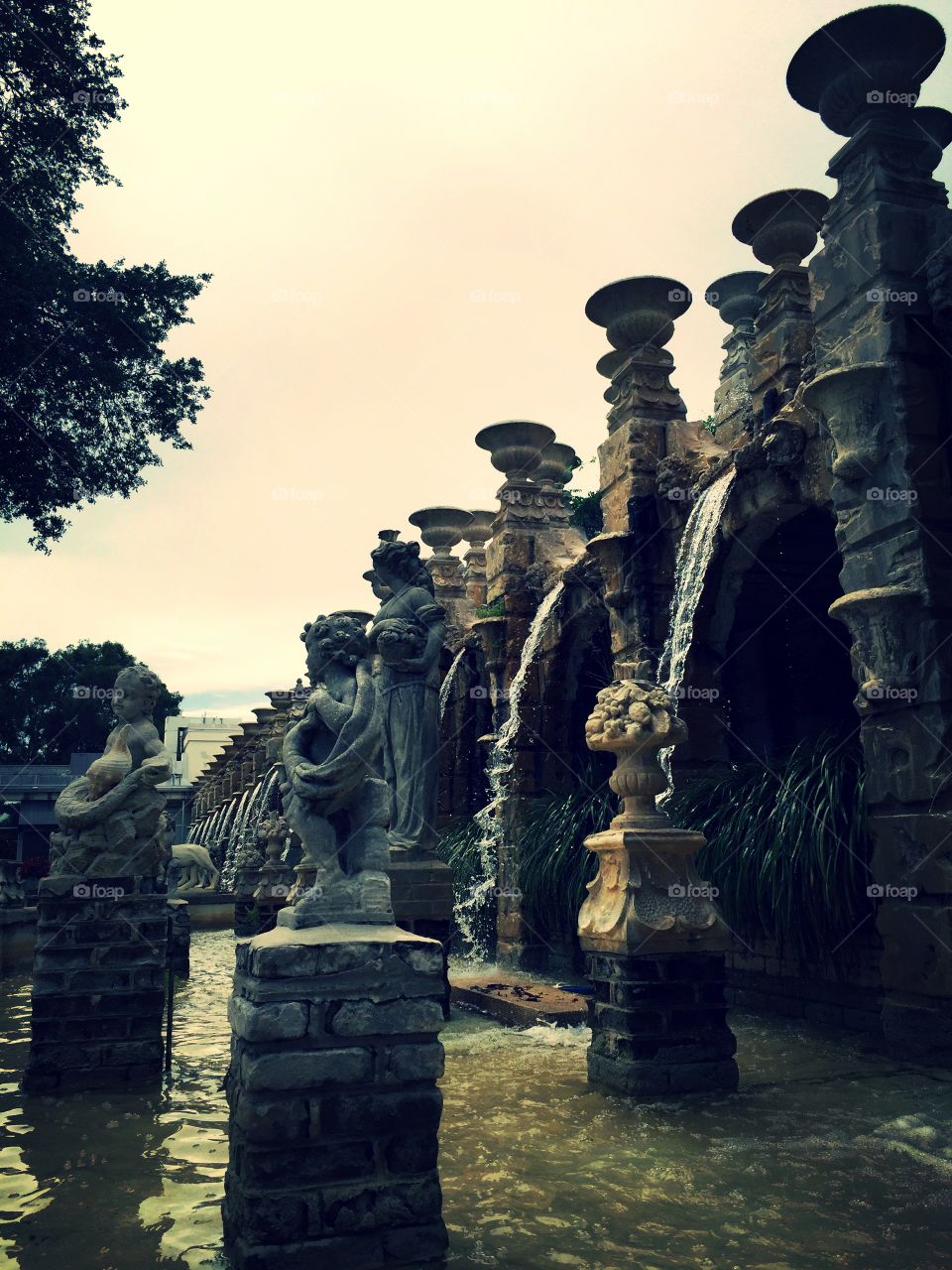 Kapok Fountains