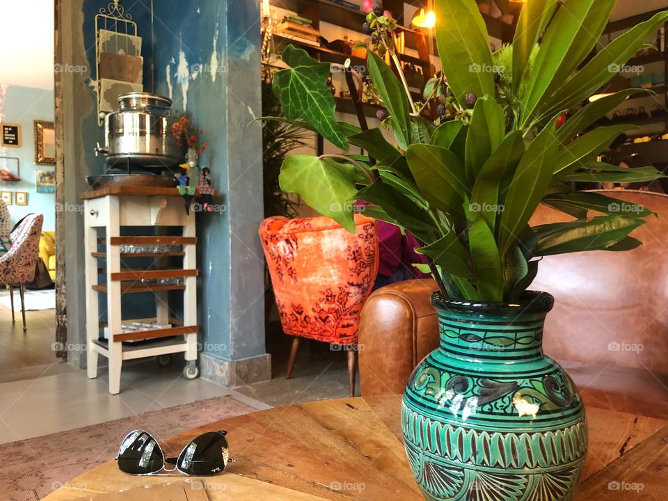 Café interior and plants