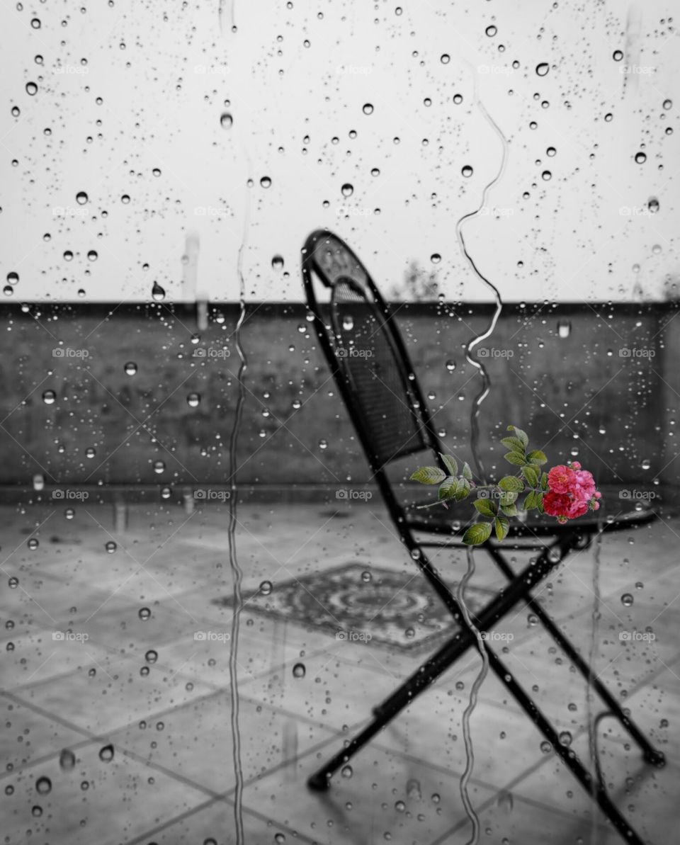 Rainy day window flower and chair