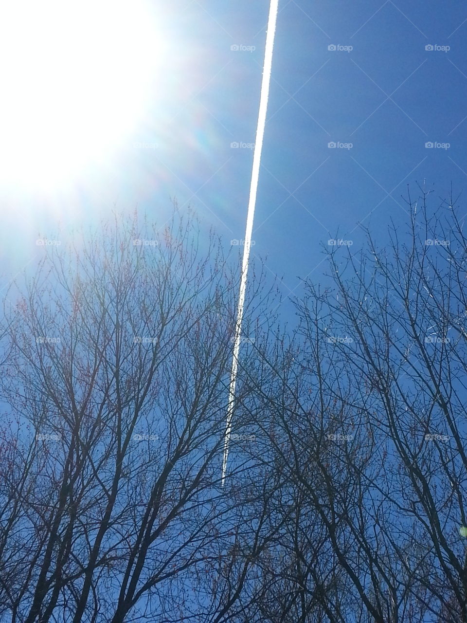 A jet dividing the blue sky. Backyard sights