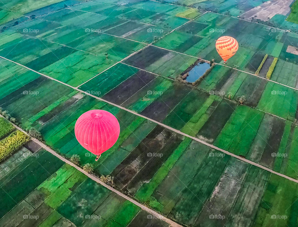 Colorful ballon above beautiful plantation texture background