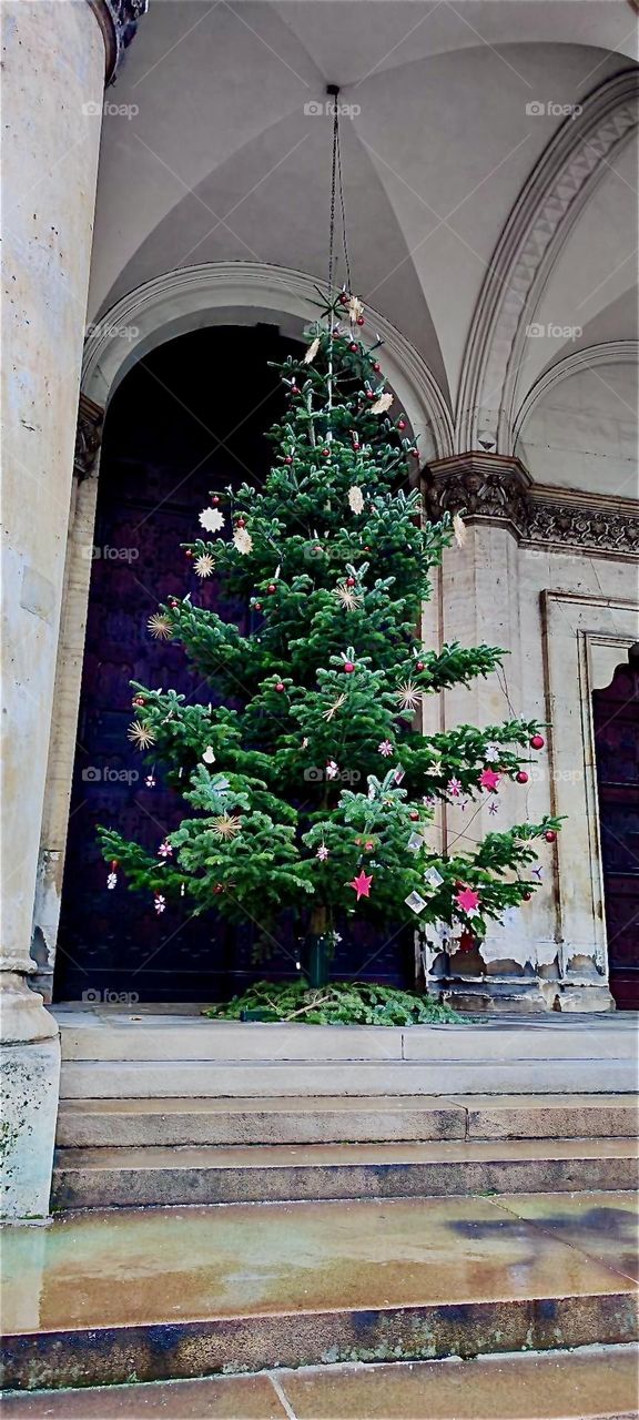 This is a humongously large decorated Christmas tree on display in “München” or “Munich”, capital of “Bavaria”, Germany. 2023. Hypnotic Productions