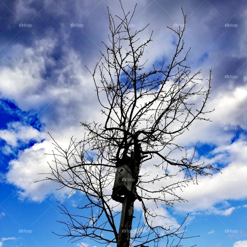 Скворечник. Ивановская область