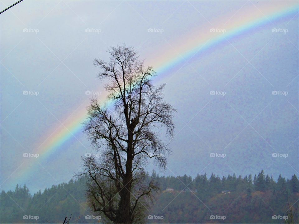 rainbow during a storm
