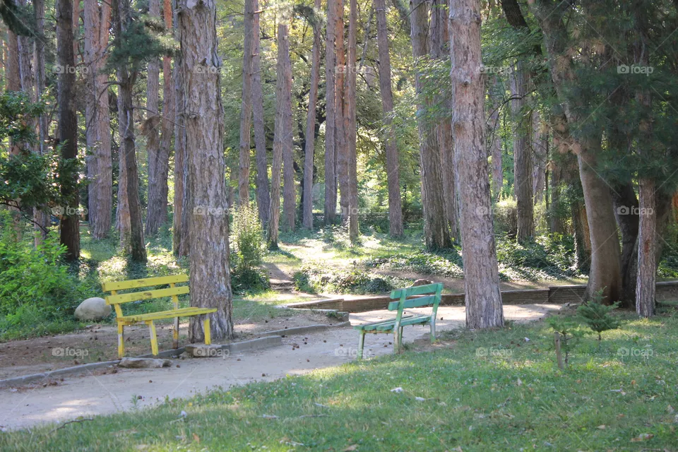 Park