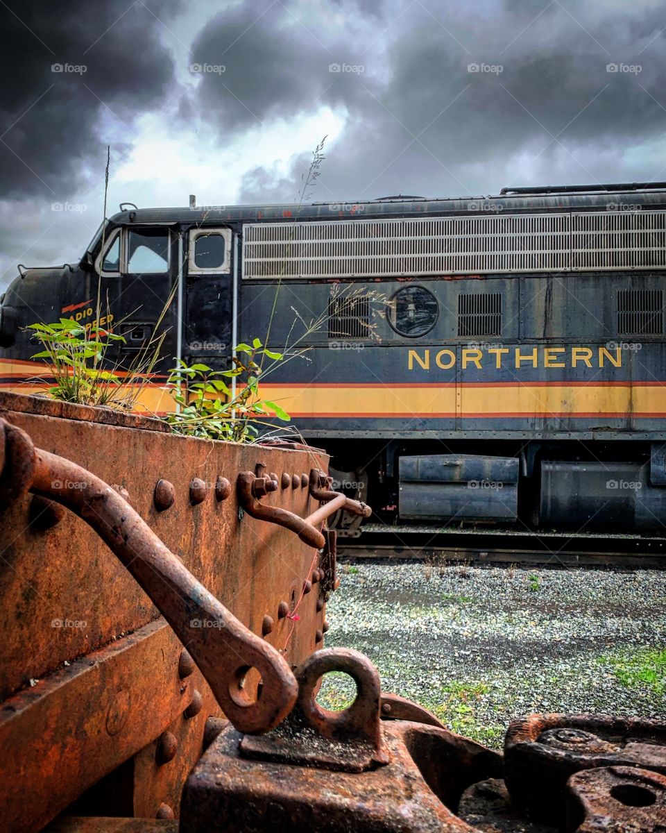 Nature is amazing, it can create life anywhere. 