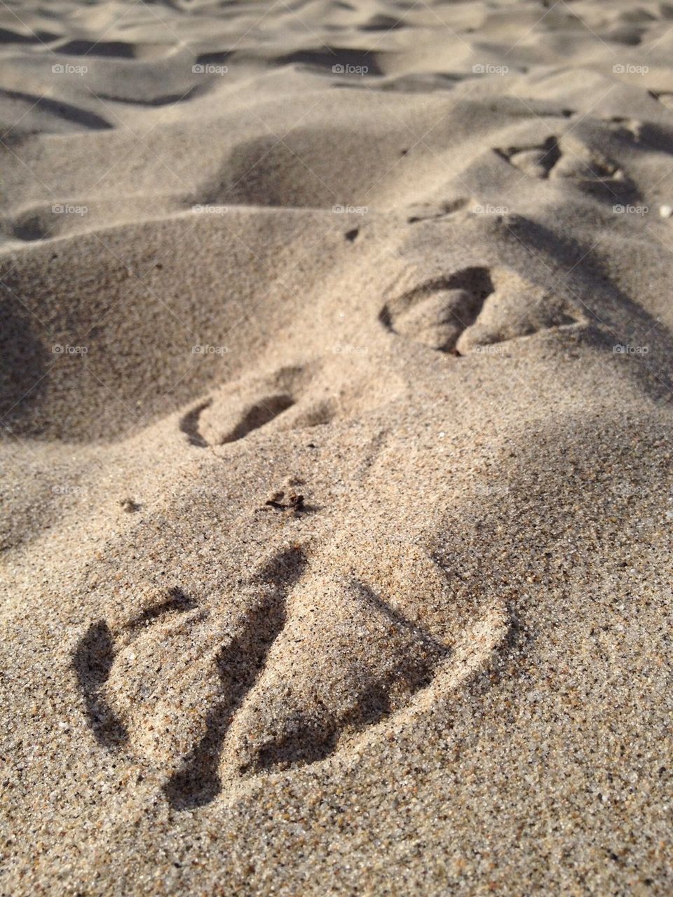Sandy tracks