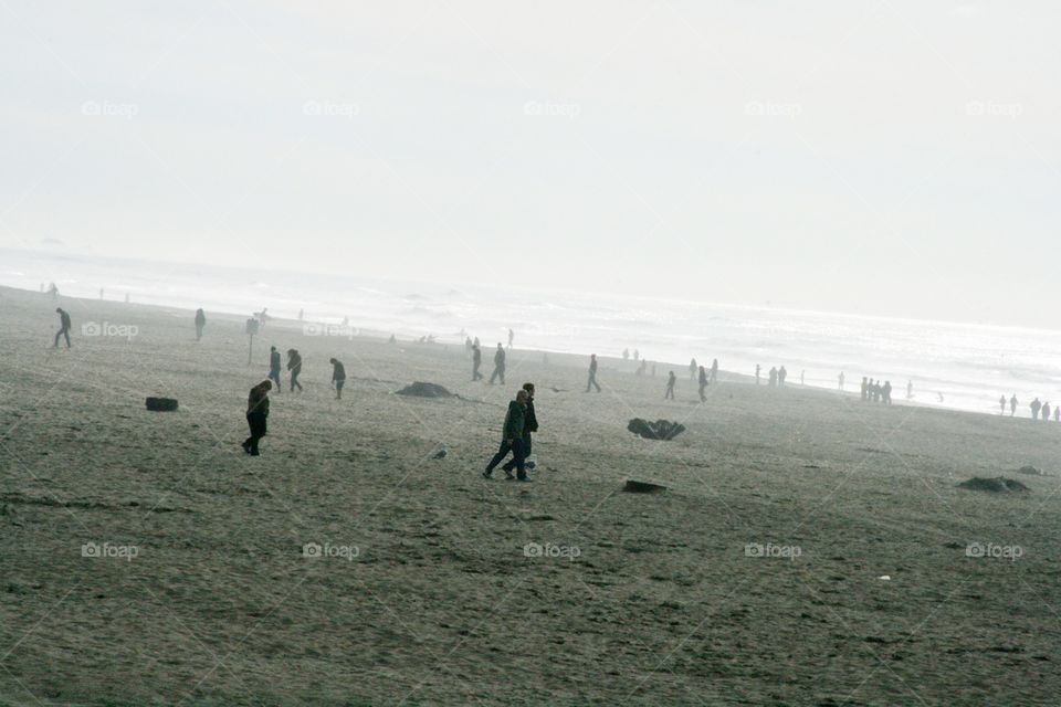 on the beach