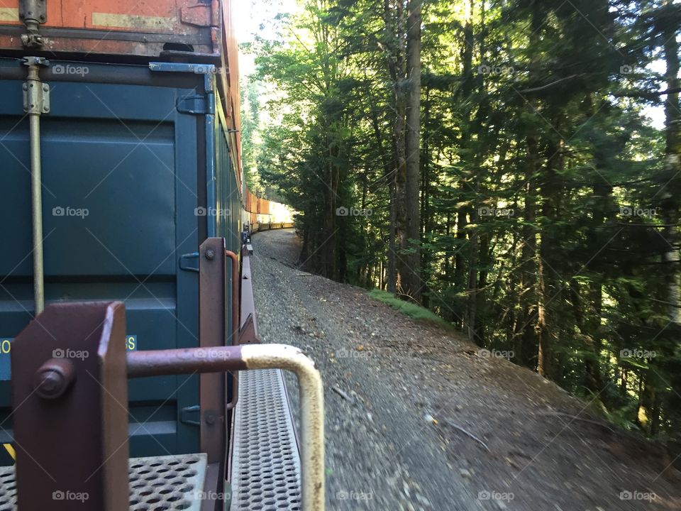 Wood, Road, Street, No Person, Landscape