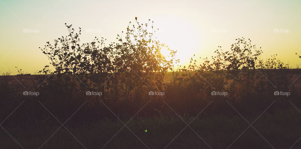 Golden hour. A sun setting on a day in the country