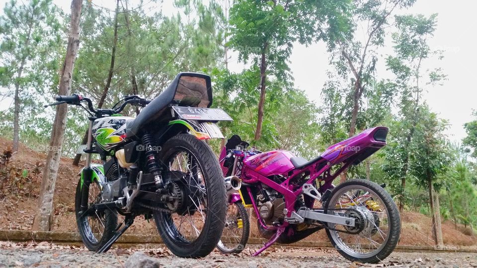 green and pink motorcycle photo