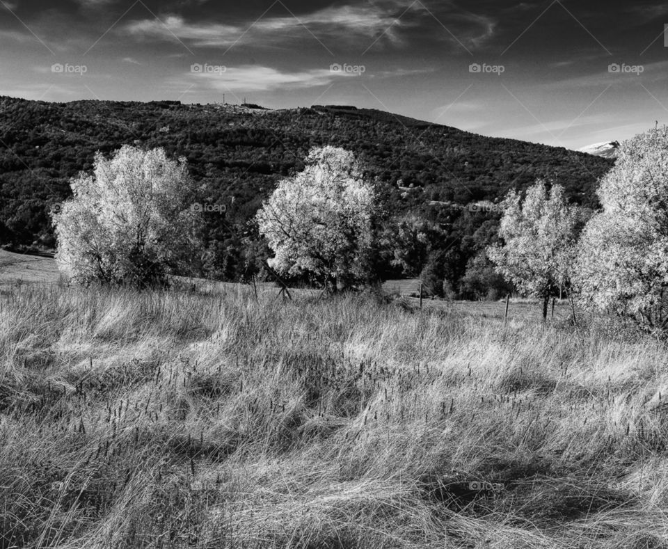 Otoño en gredos