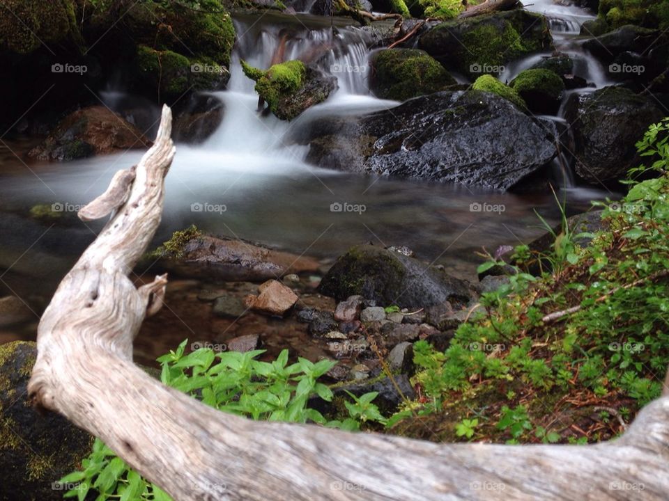 Mount Rainier stream