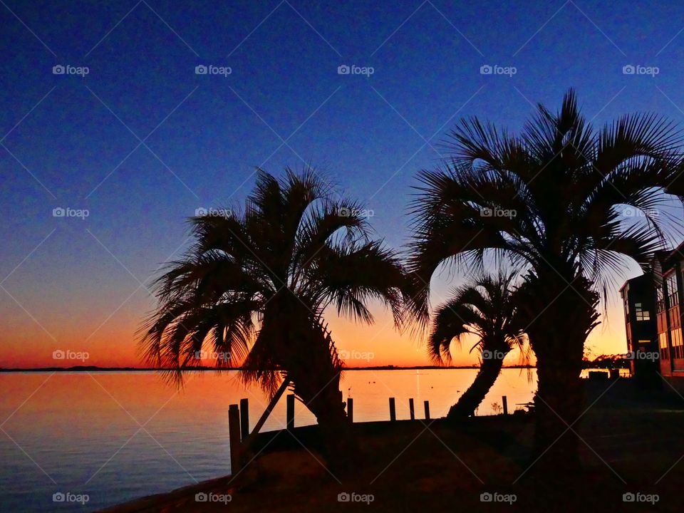 Sunset through the palm trees