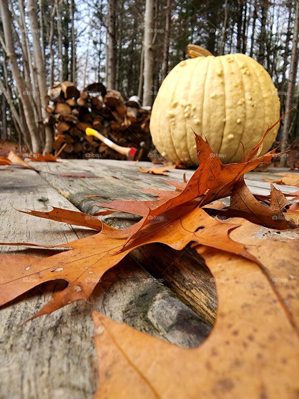 A country fall scene with fallen leaves, pumpkin, and an axe & forewood in the background.