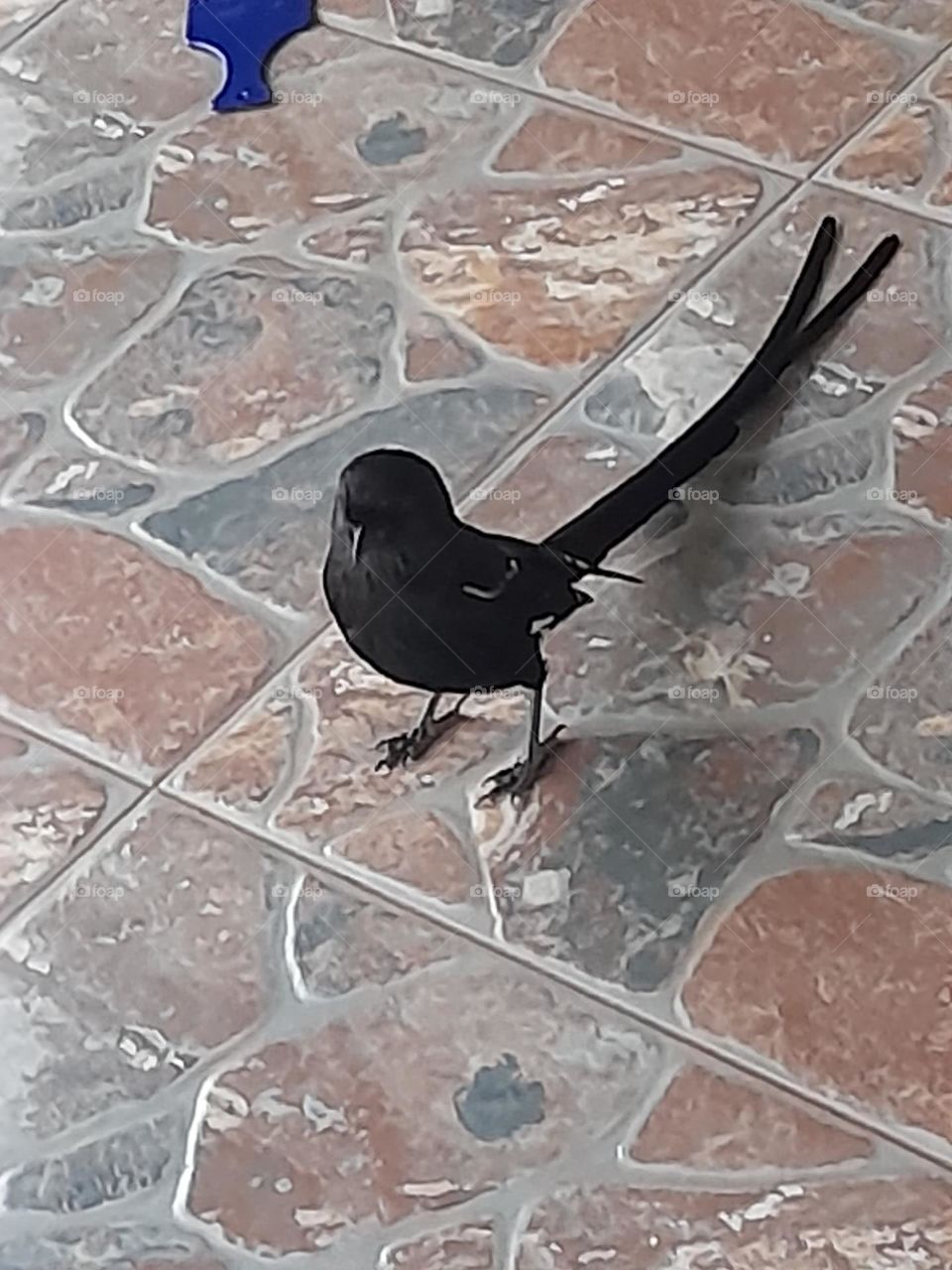 Dancing on the floor, while waiting for his friends 🤣🤣🤣🤣.