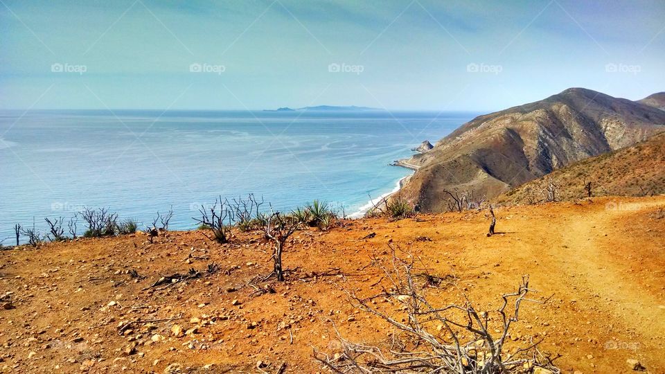 Scenic view of a sea