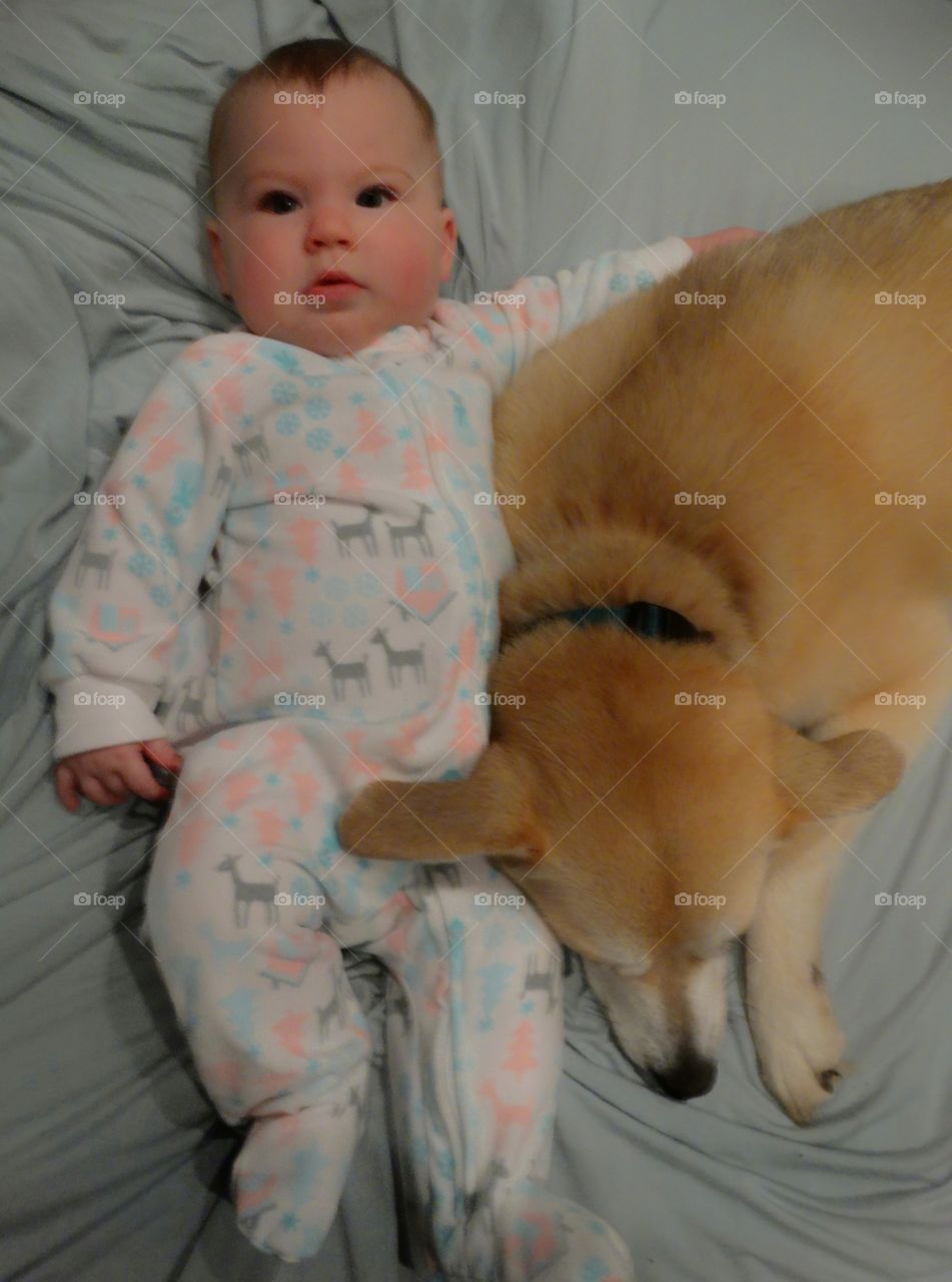 Family Dog With Baby Girl