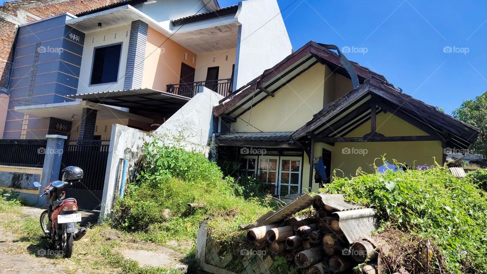 my house and natural garden