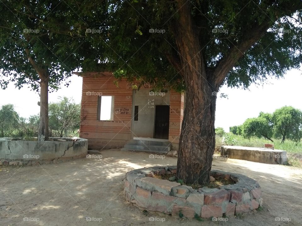Jodhpur Rajasthan india