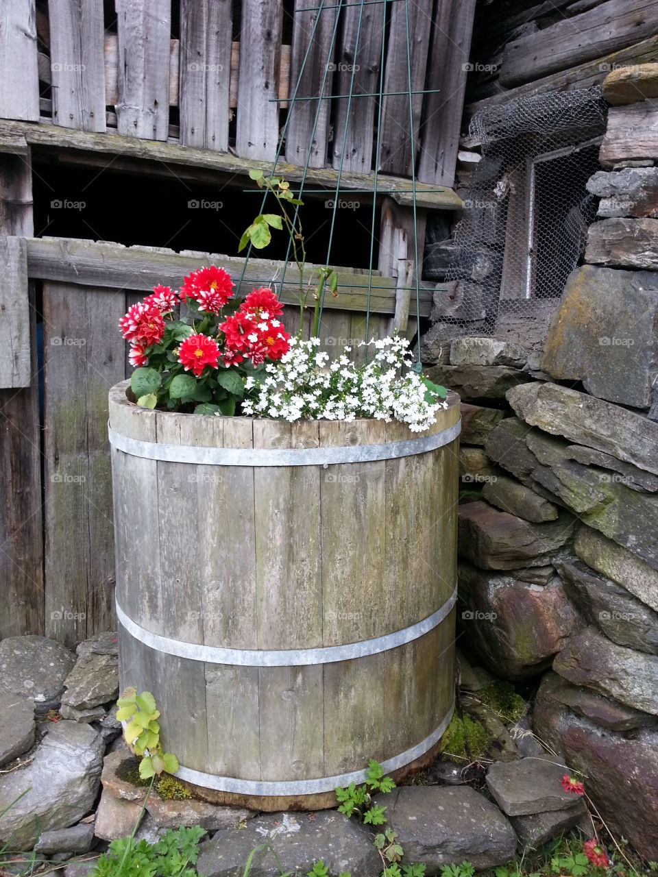 Summer vacation in Norway. Norway is truly fantastic. The landscape varies from fjords, mountains, snow all within the same areaπππ