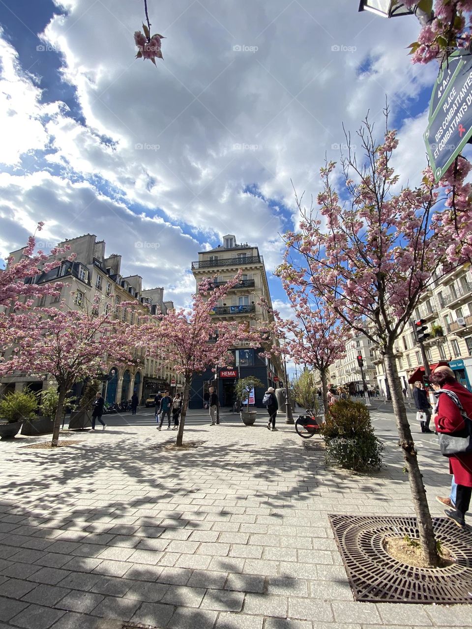 Square in Paris, France with cherry blossoms 