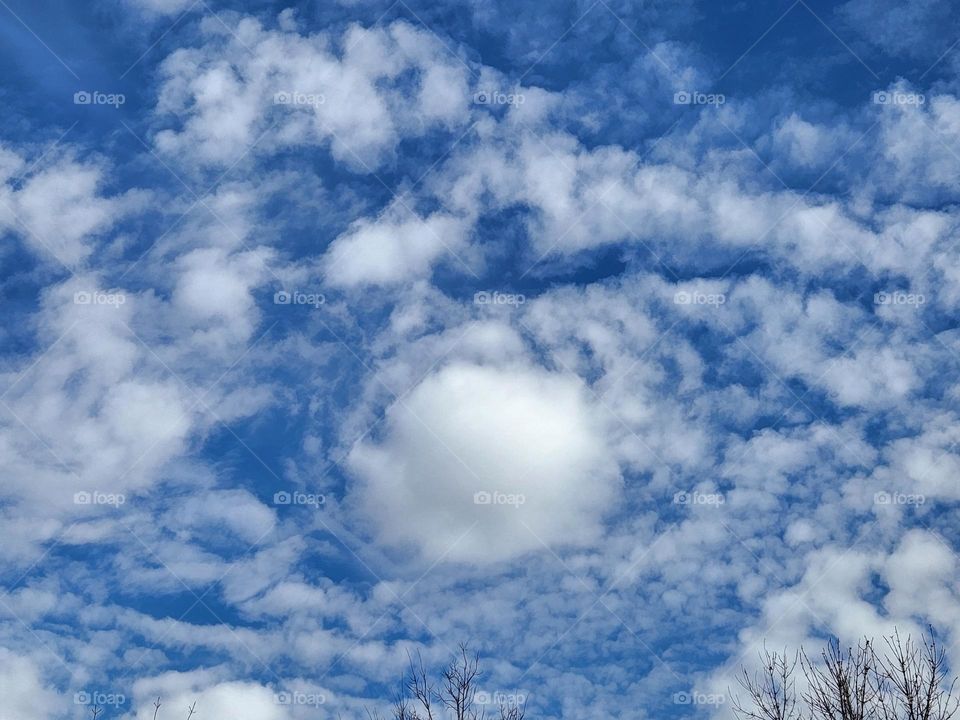 March Cloud 1