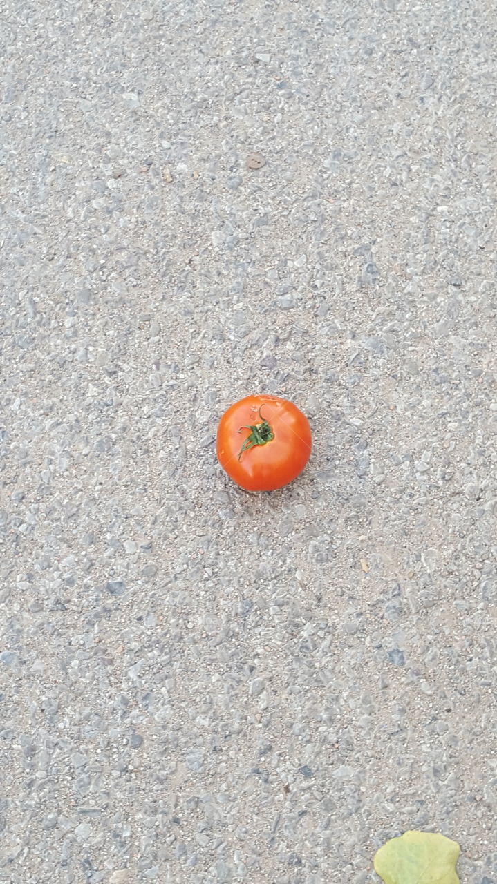 Tomatte