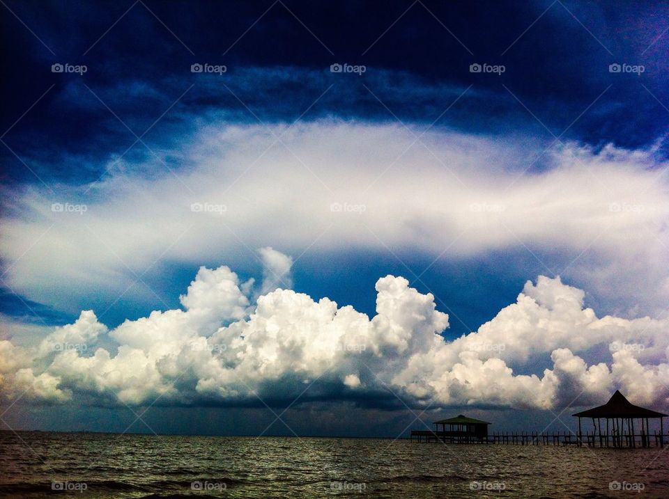 Scenic view of nature