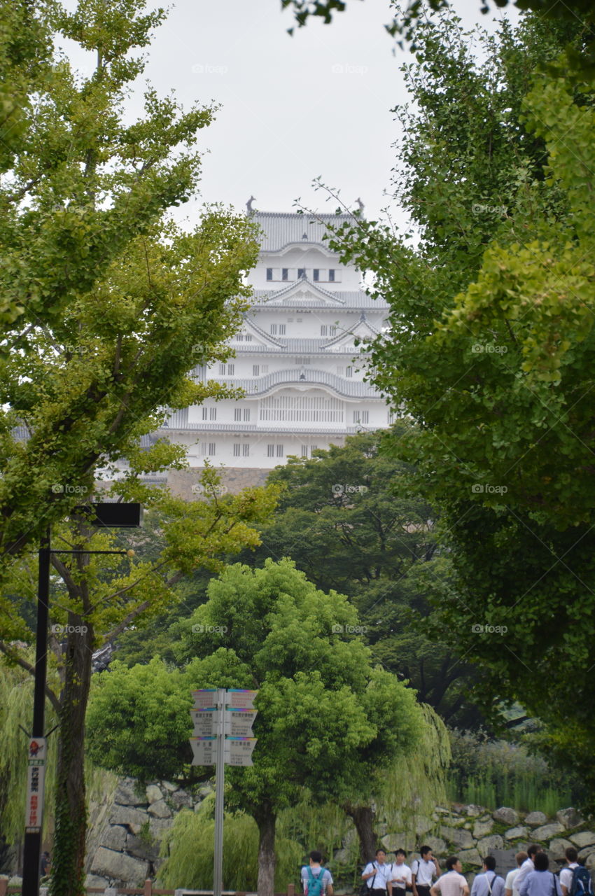 Himeji Castle Japan Behind Trees