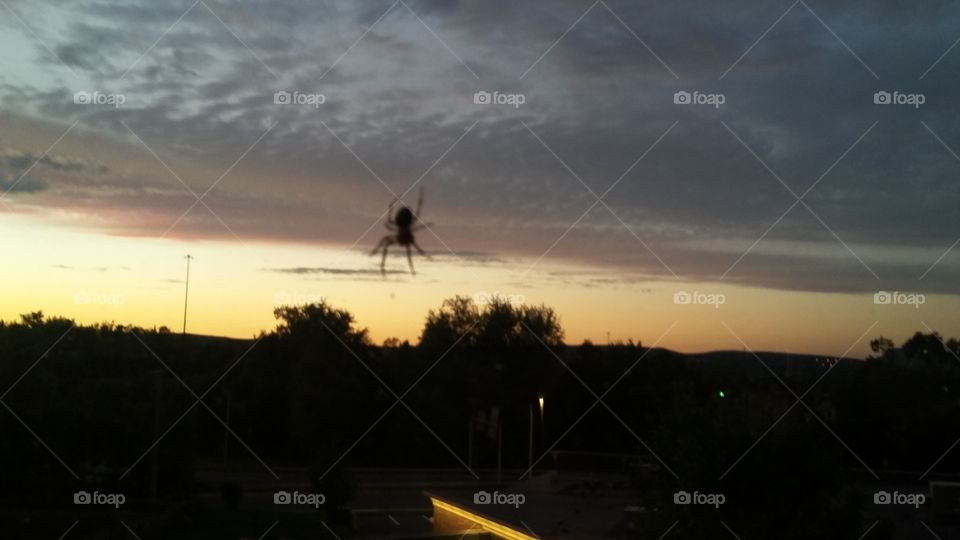 looking thru the window