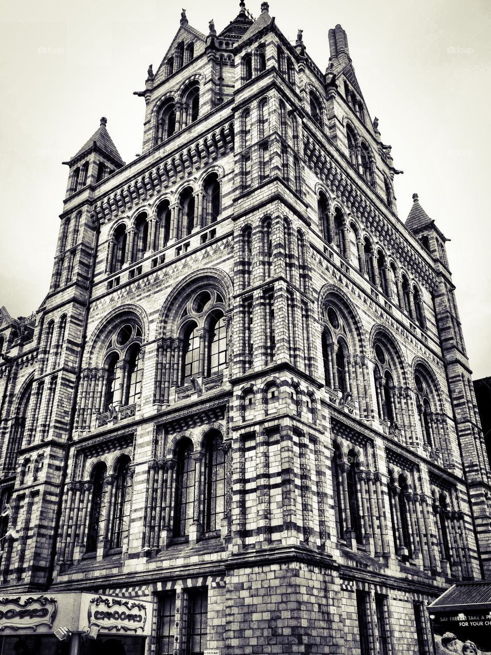 Natural History Museum. Natural History Museum (London - England)