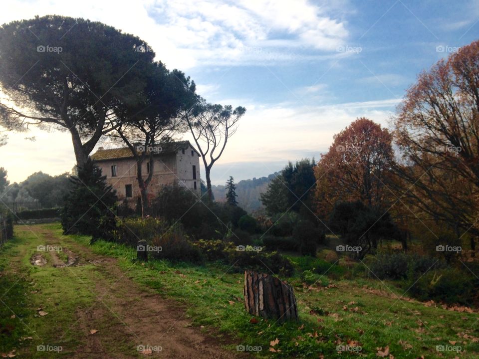 Autumn , Villa Pamphilj, Rome 