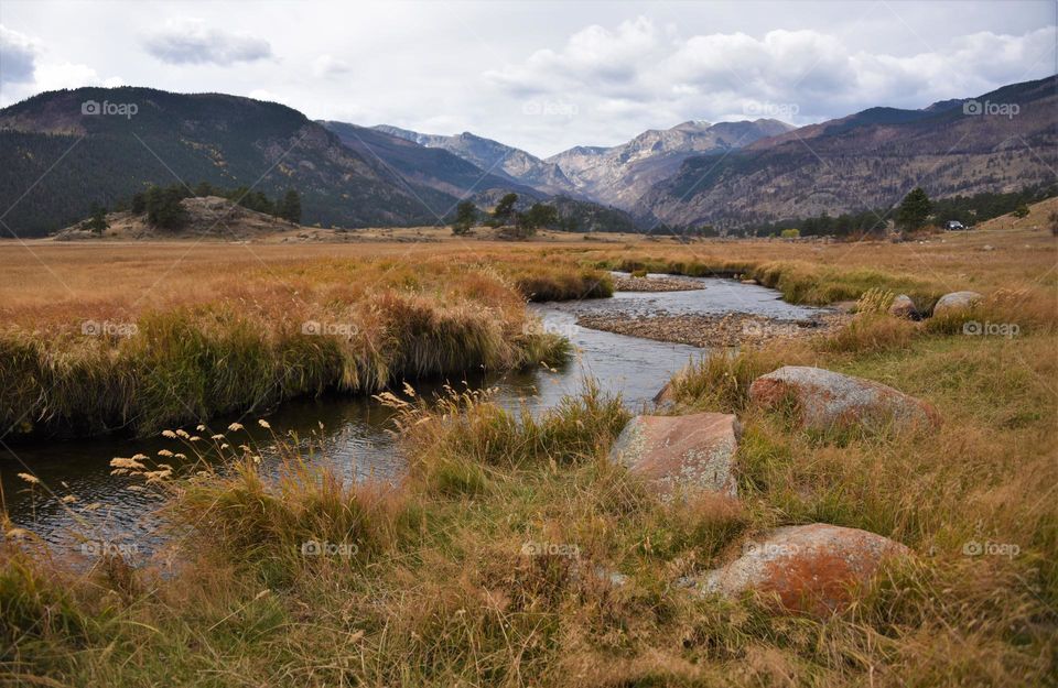 rocky mountain deer hunting