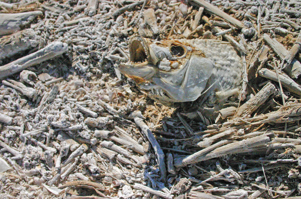 Fighting for Air til the End