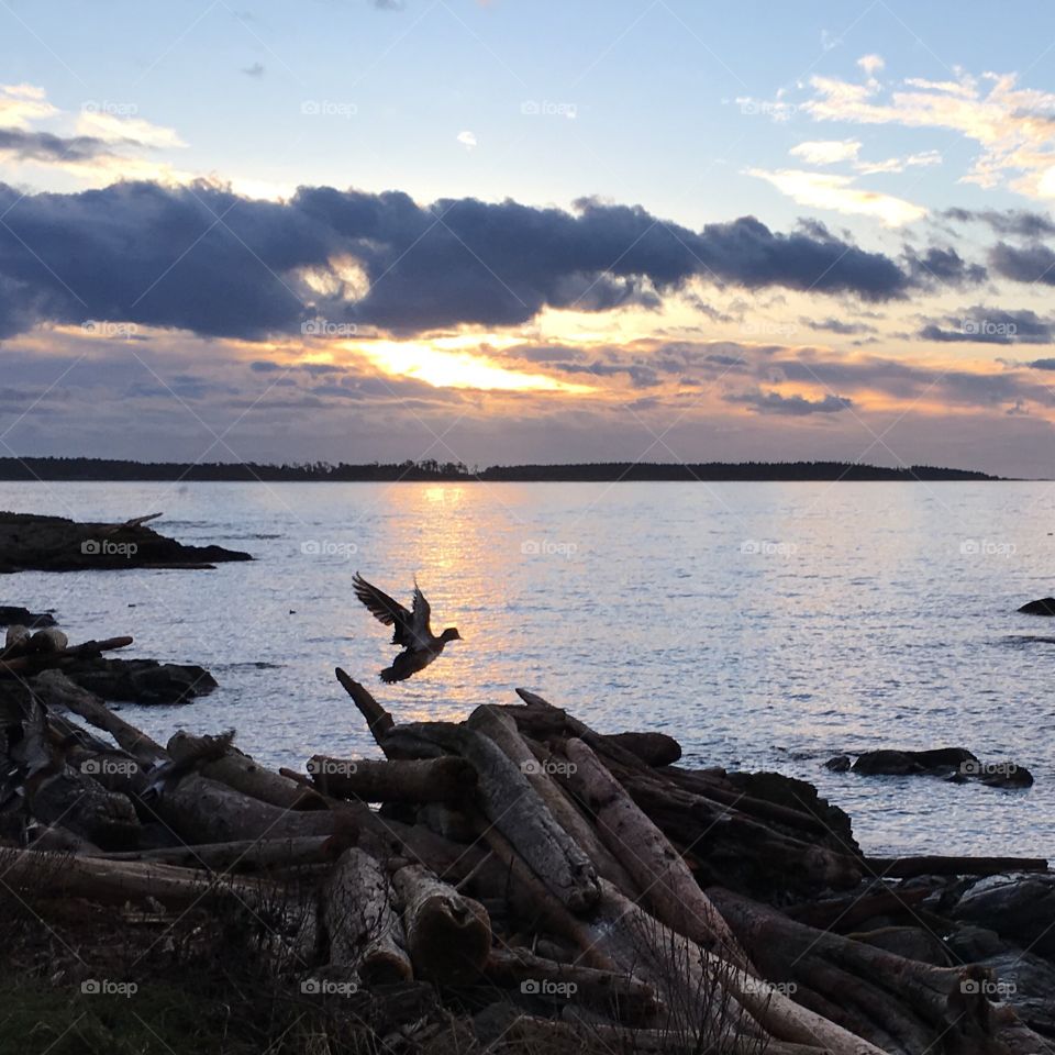 Sunrise by the ocean 