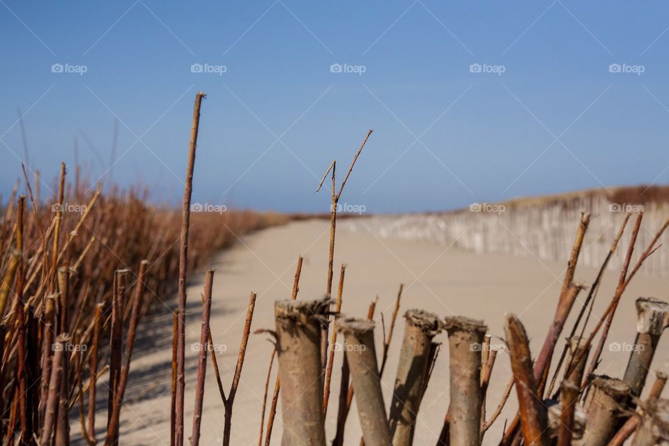 Beach, protection of the dunes