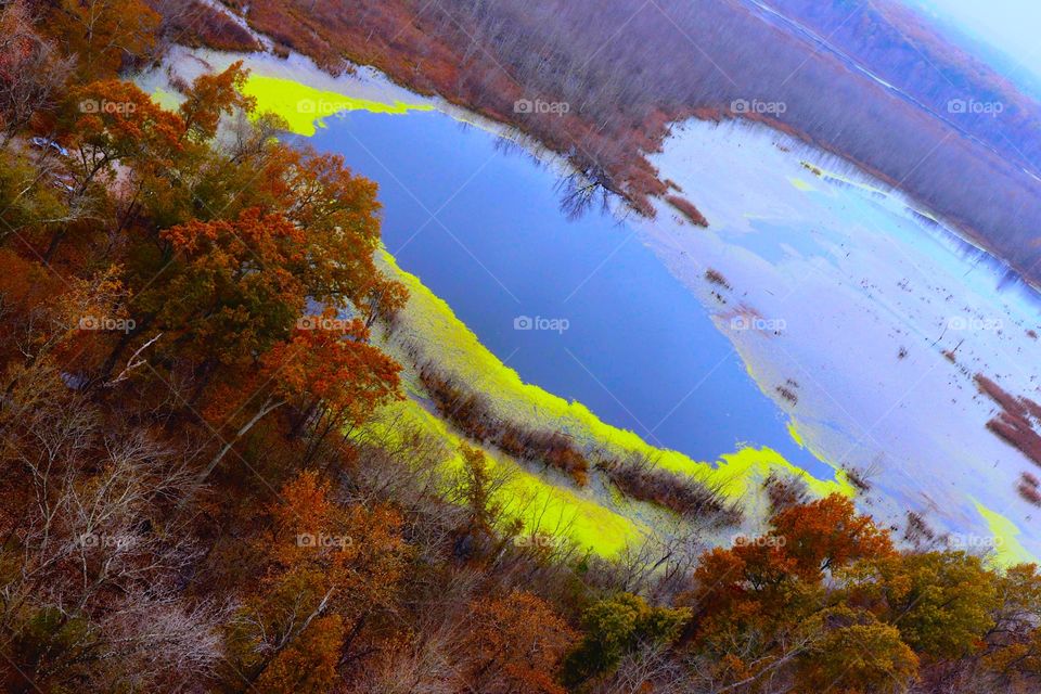 The mossy heart shaped swamp