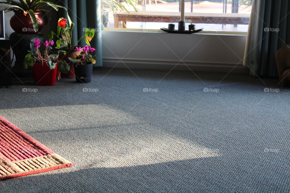 Shadow from a loungers window