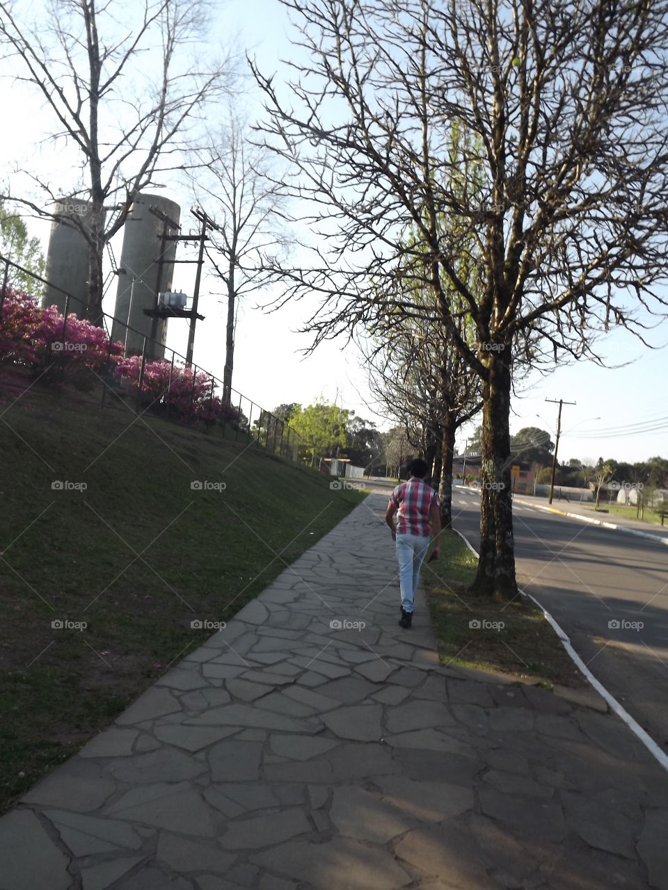 Road, Tree, People, Environment, Park