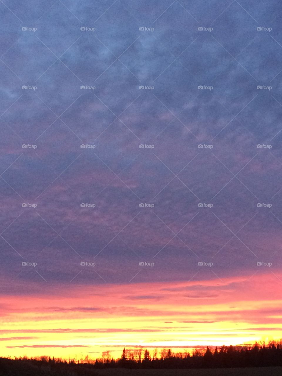 Sunset skyline 