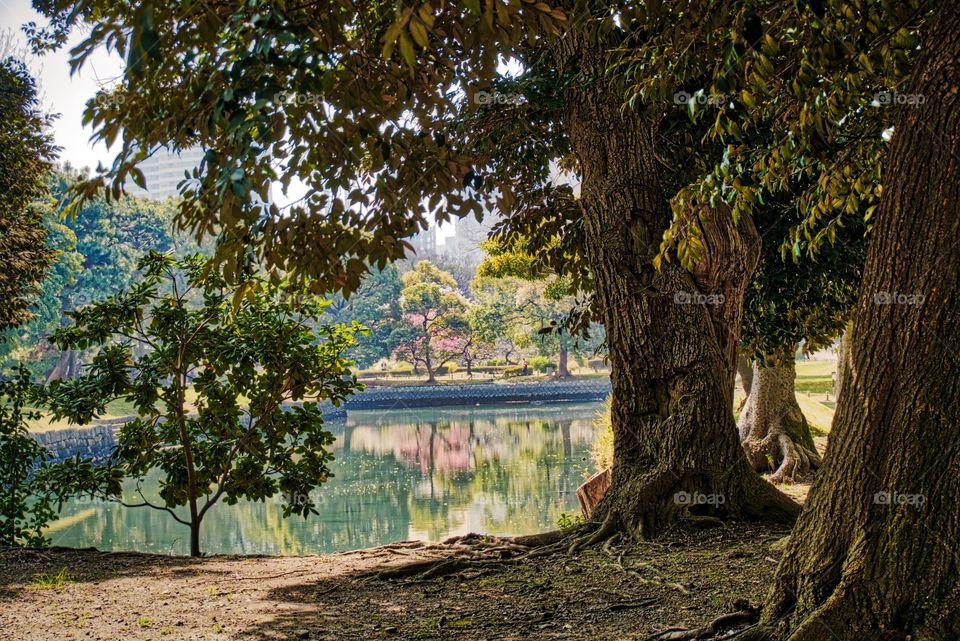 Hama-rikyu Gardens, Tokyo